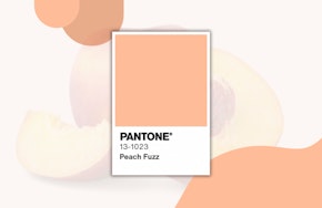  Embrace the Warmth! Transform Your Home with Pantone's 2024 Color of the Year: Peach Fuzz